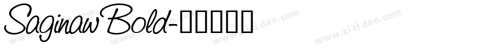 Saginaw Bold字体转换